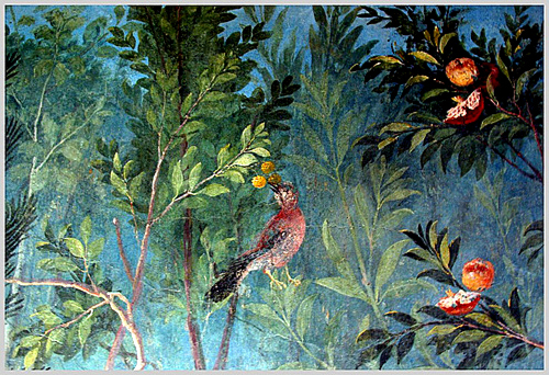 Associazione Nuova Acanto - Settembre 2019